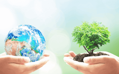 Celebrating World Environment Day  –  Our Commitment to a Sustainable Future